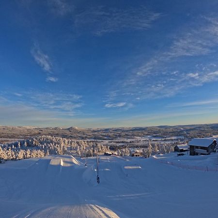 Toppvillan - Ski In - Ski Out - 200 M Till Toppen Och Cykelleder Järvsö Exterior foto