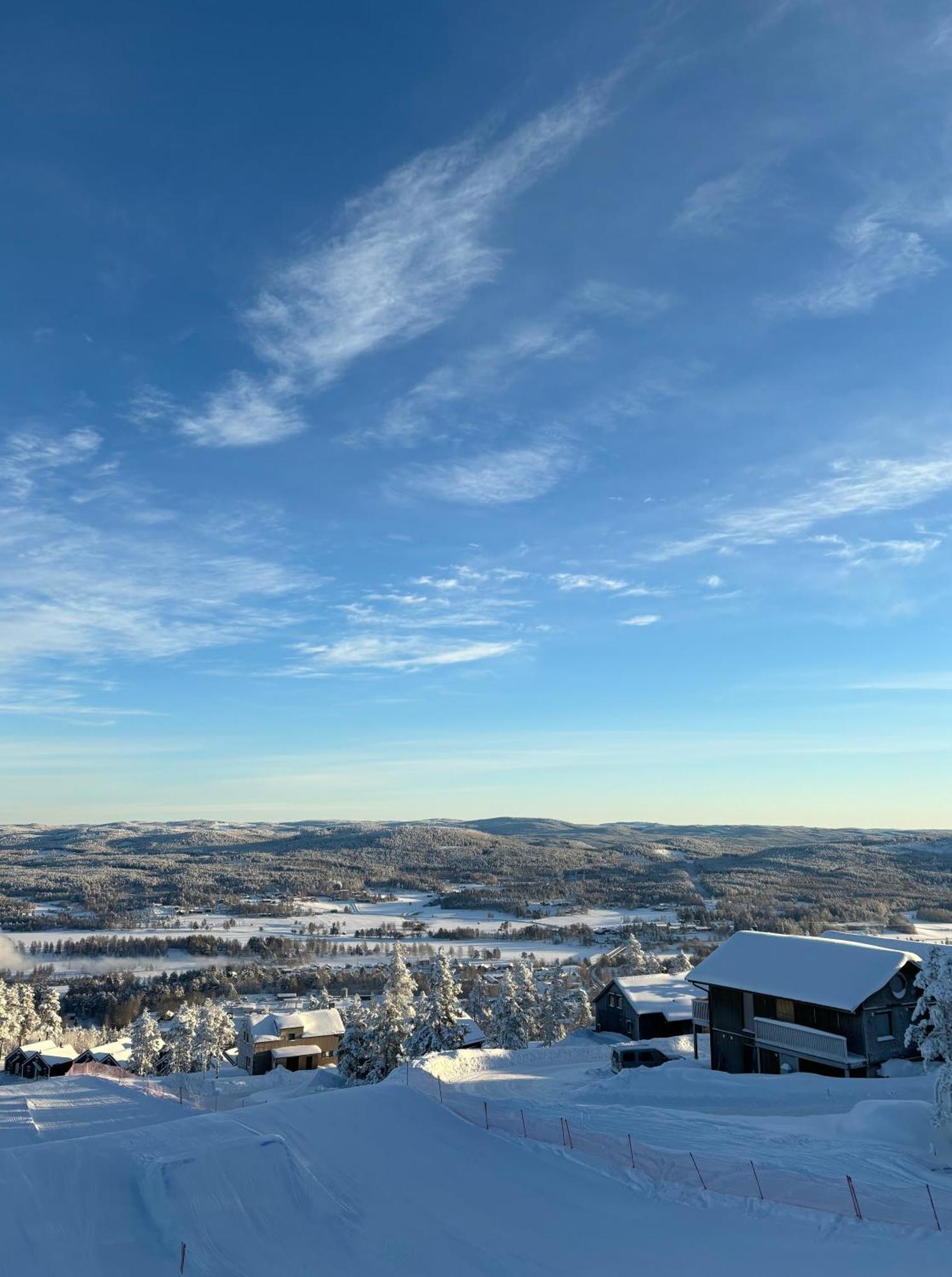 Toppvillan - Ski In - Ski Out - 200 M Till Toppen Och Cykelleder Järvsö Exterior foto